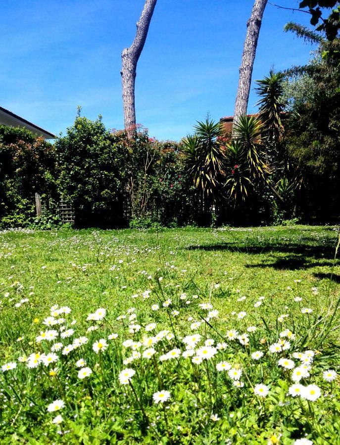 Il Gelsomino Villa Forte dei Marmi Eksteriør bilde